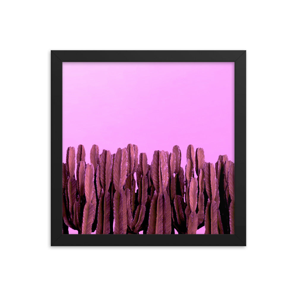 Pink Cacti - Wall Art