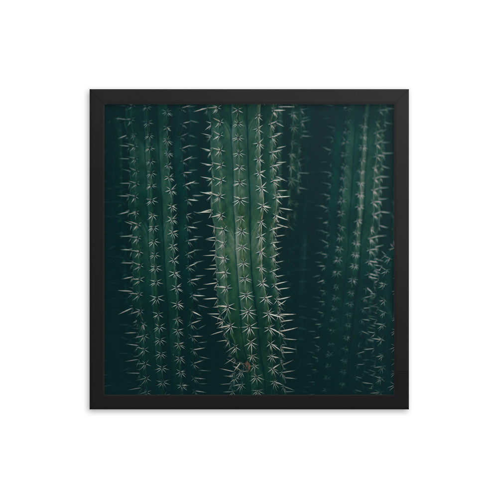 Cactus Spines - Wall Art