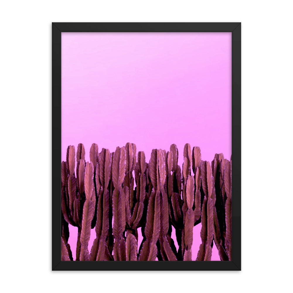 Pink Cacti - Wall Art