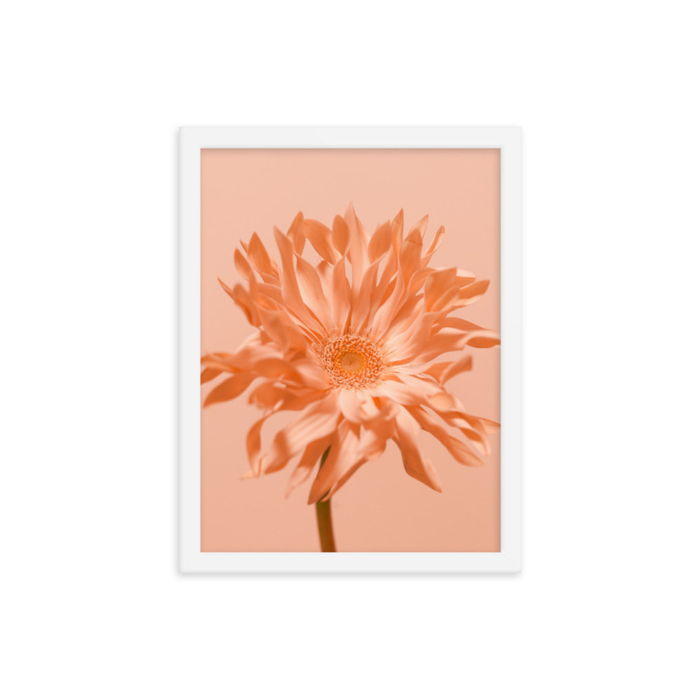 Pink Daisy - Wall Art