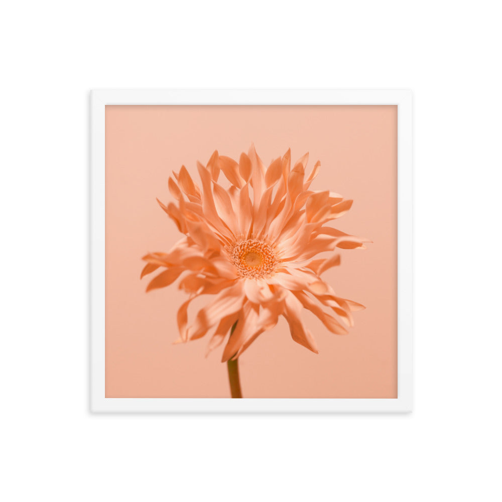 Pink Daisy - Wall Art
