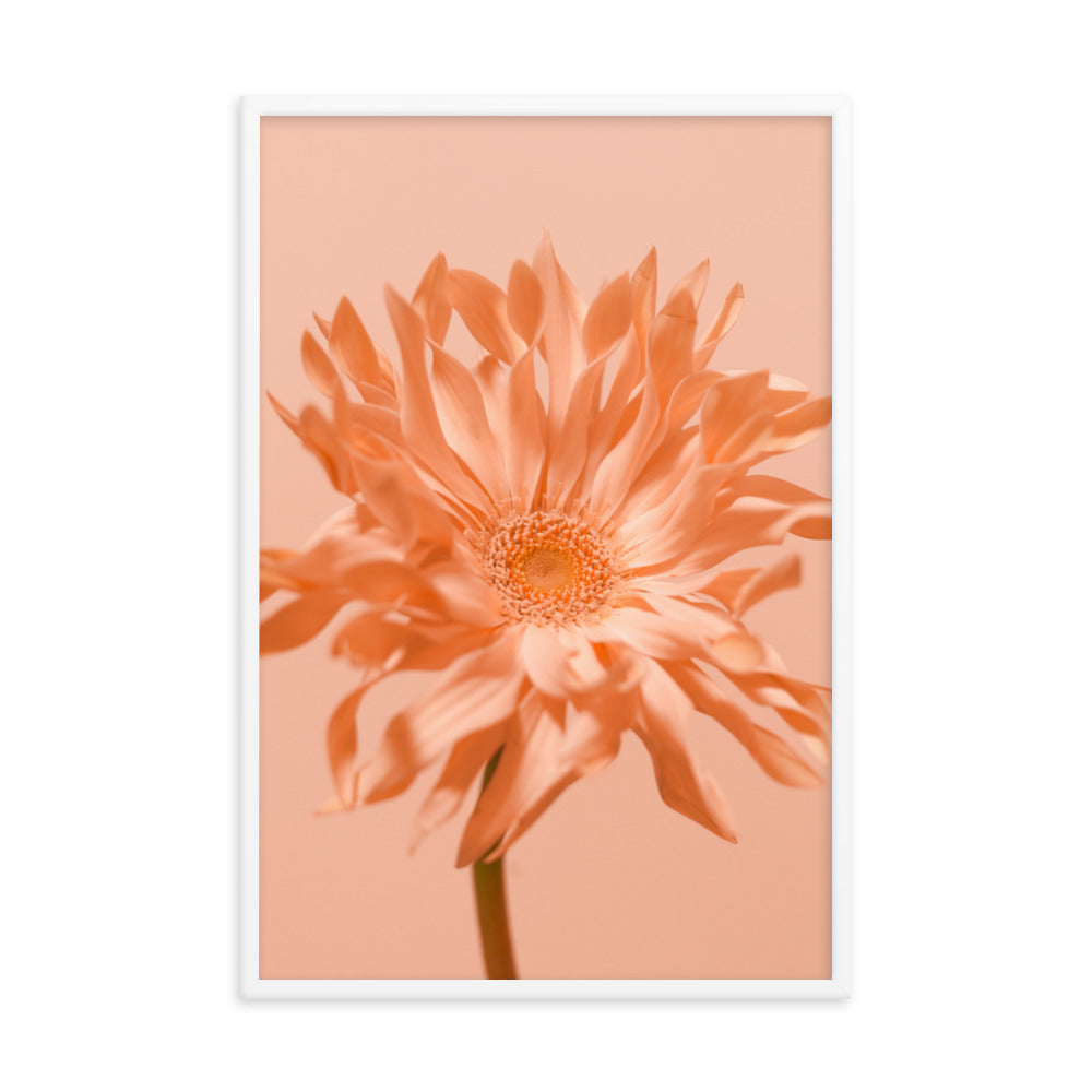 Pink Daisy - Wall Art