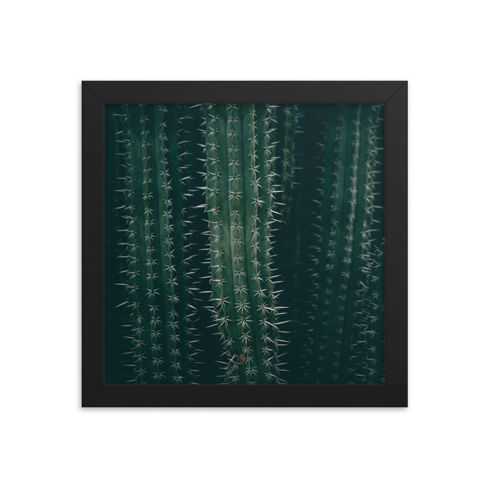 Cactus Spines - Wall Art