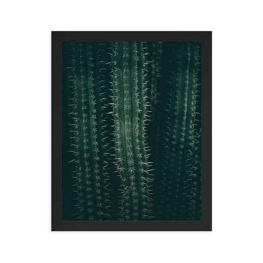 Cactus Spines - Wall Art