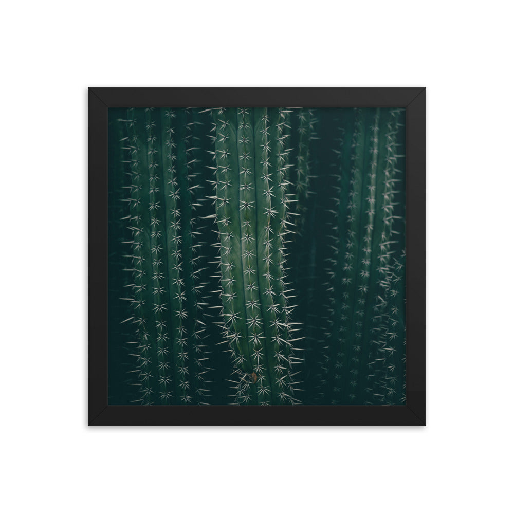 Cactus Spines - Wall Art