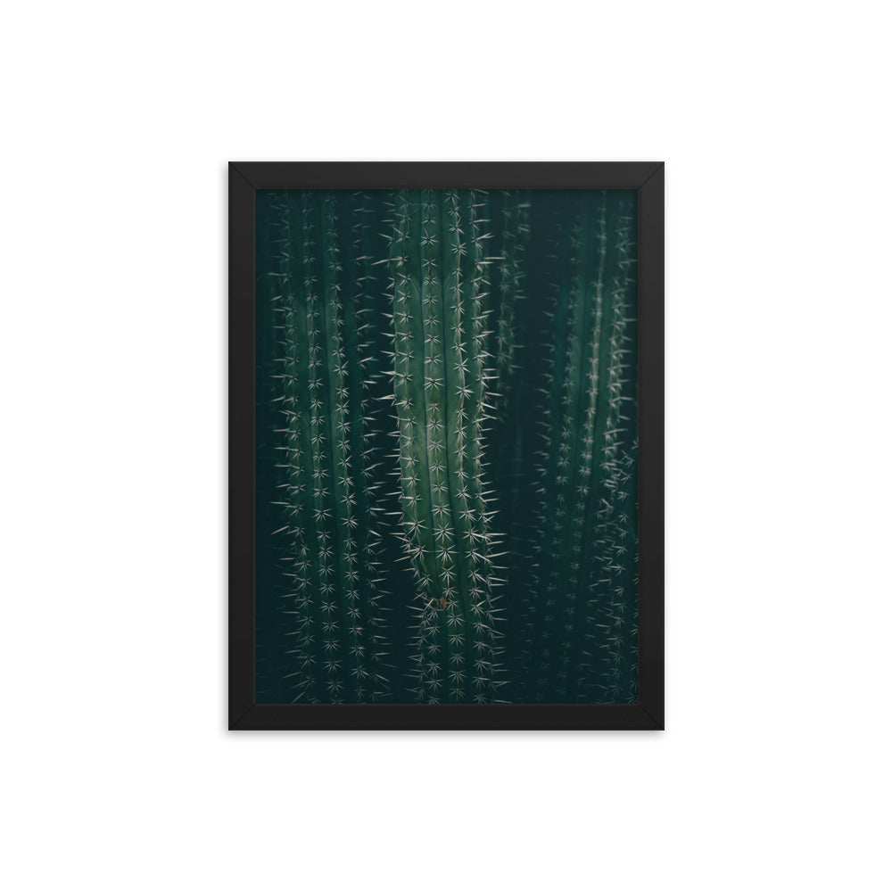 Cactus Spines - Wall Art