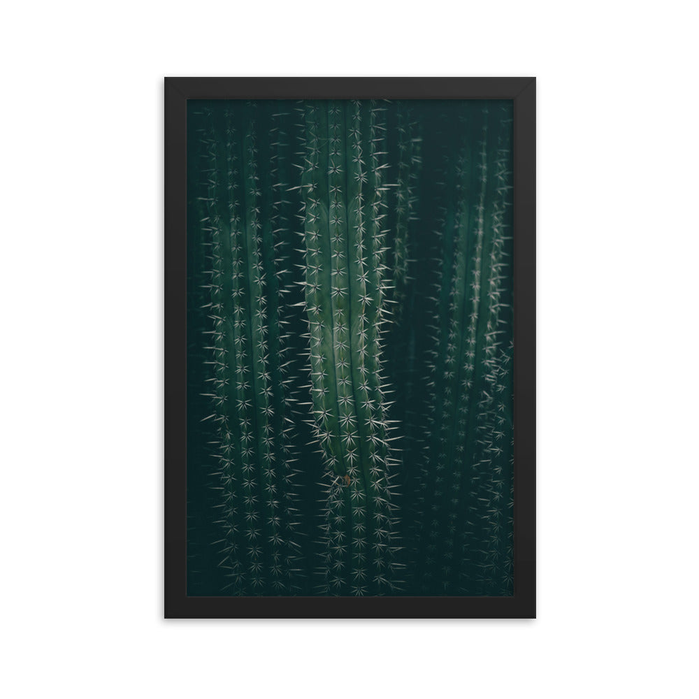 Cactus Spines - Wall Art