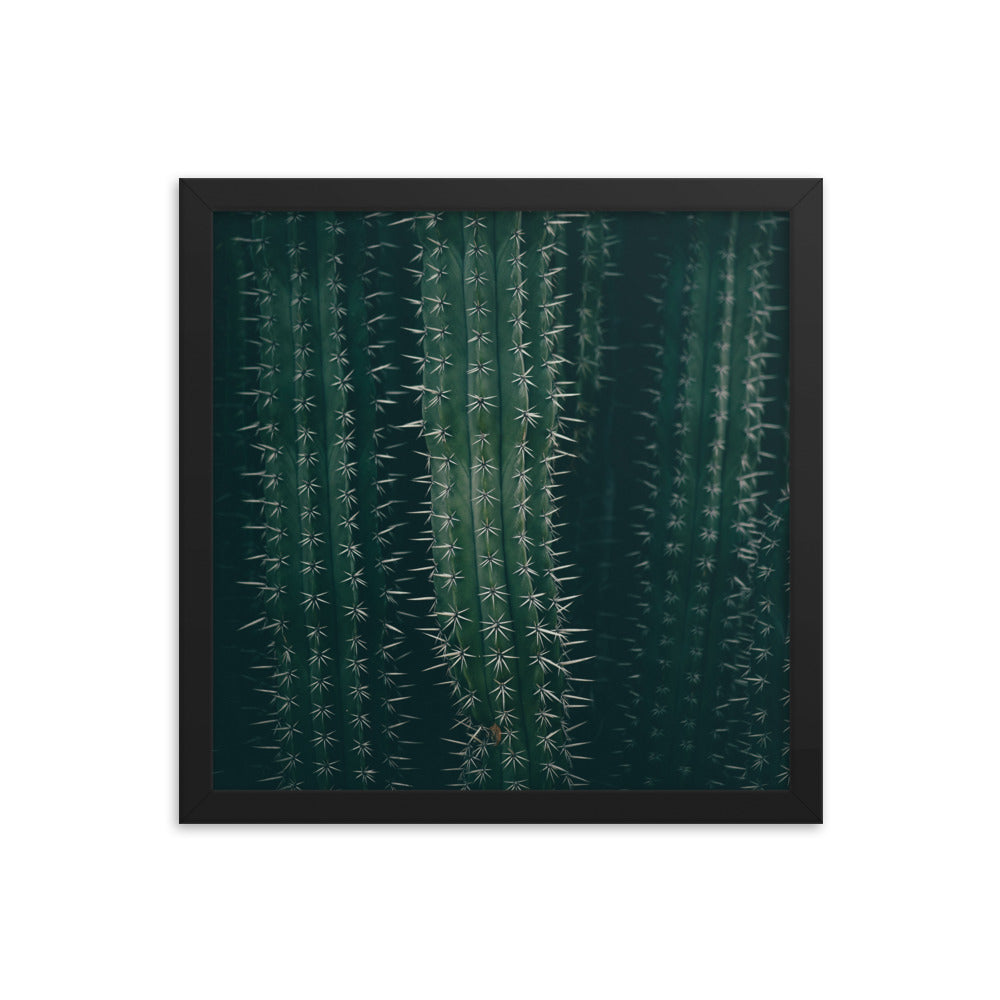 Cactus Spines - Wall Art