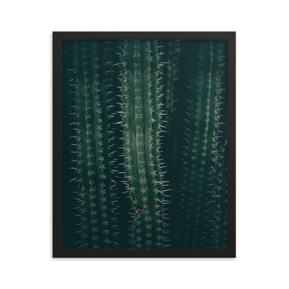 Cactus Spines - Wall Art