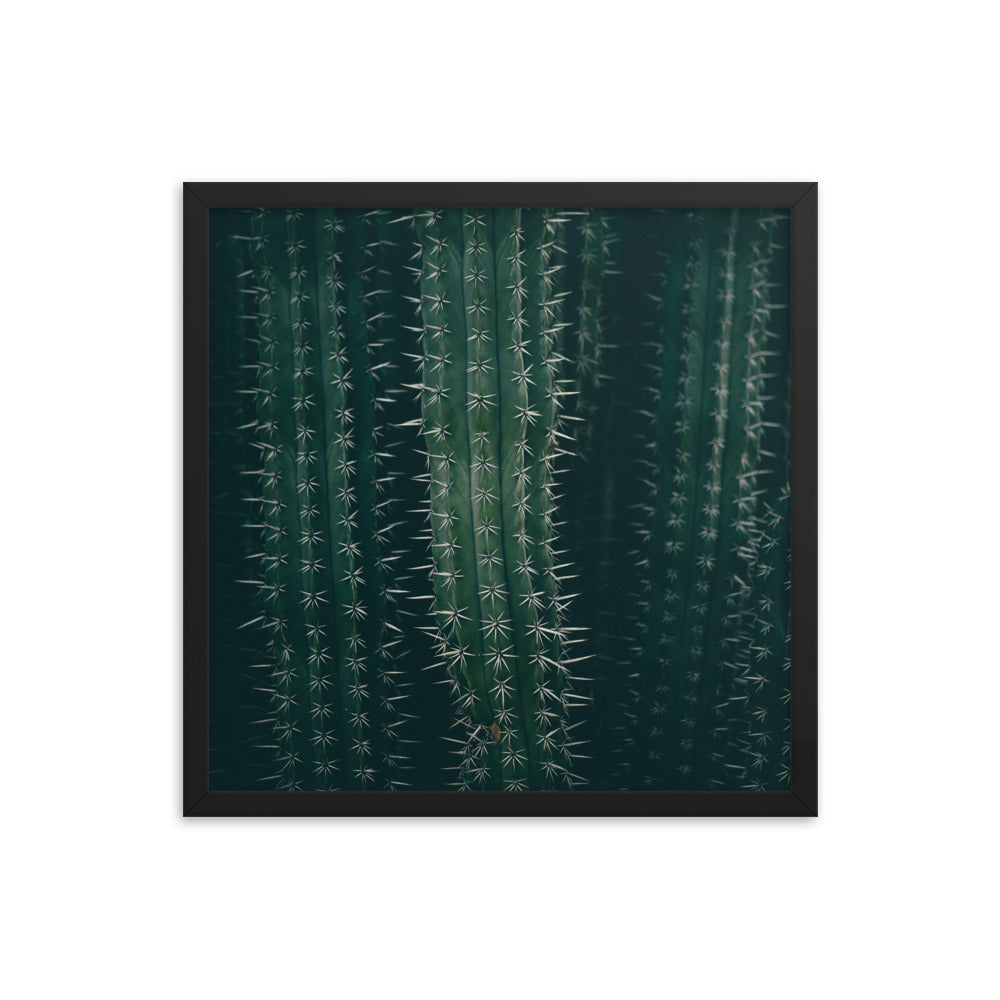 Cactus Spines - Wall Art