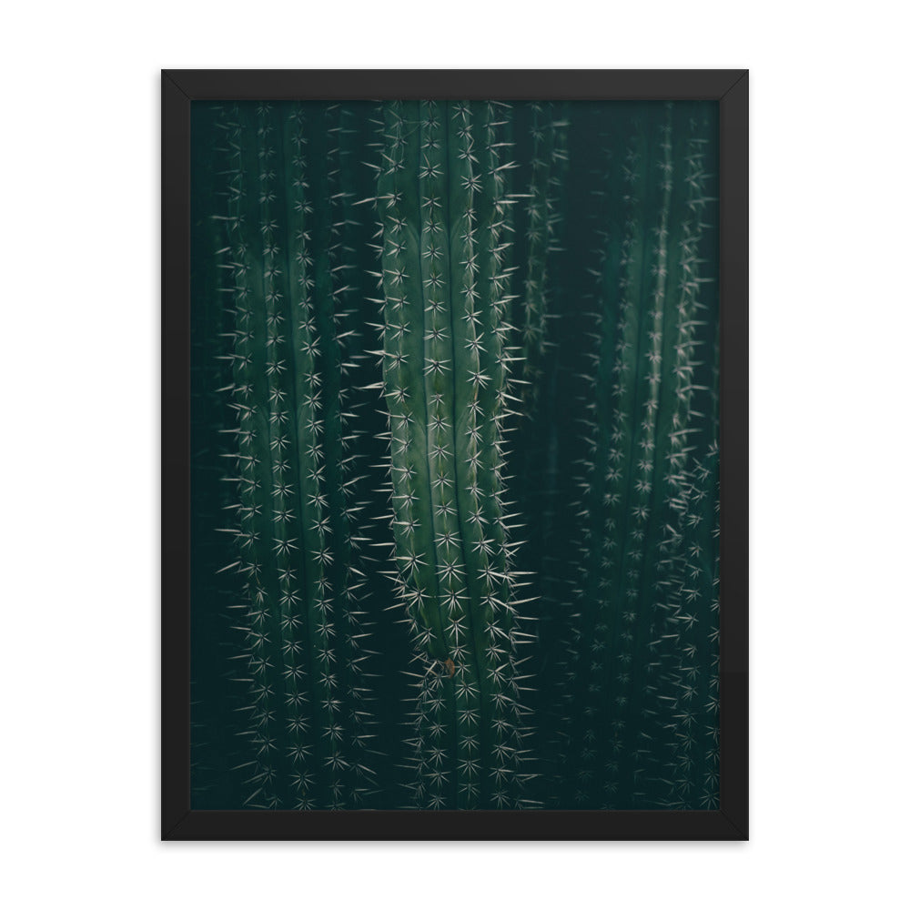 Cactus Spines - Wall Art