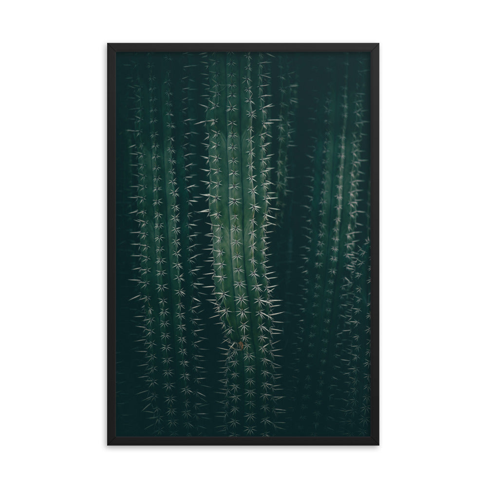 Cactus Spines - Wall Art