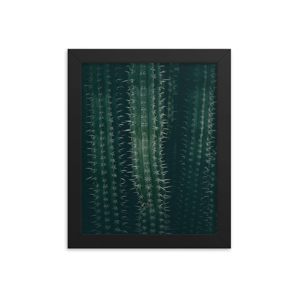 Cactus Spines - Wall Art