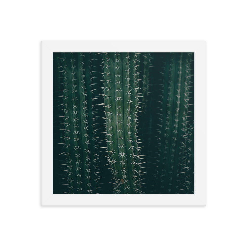 Cactus Spines - Wall Art