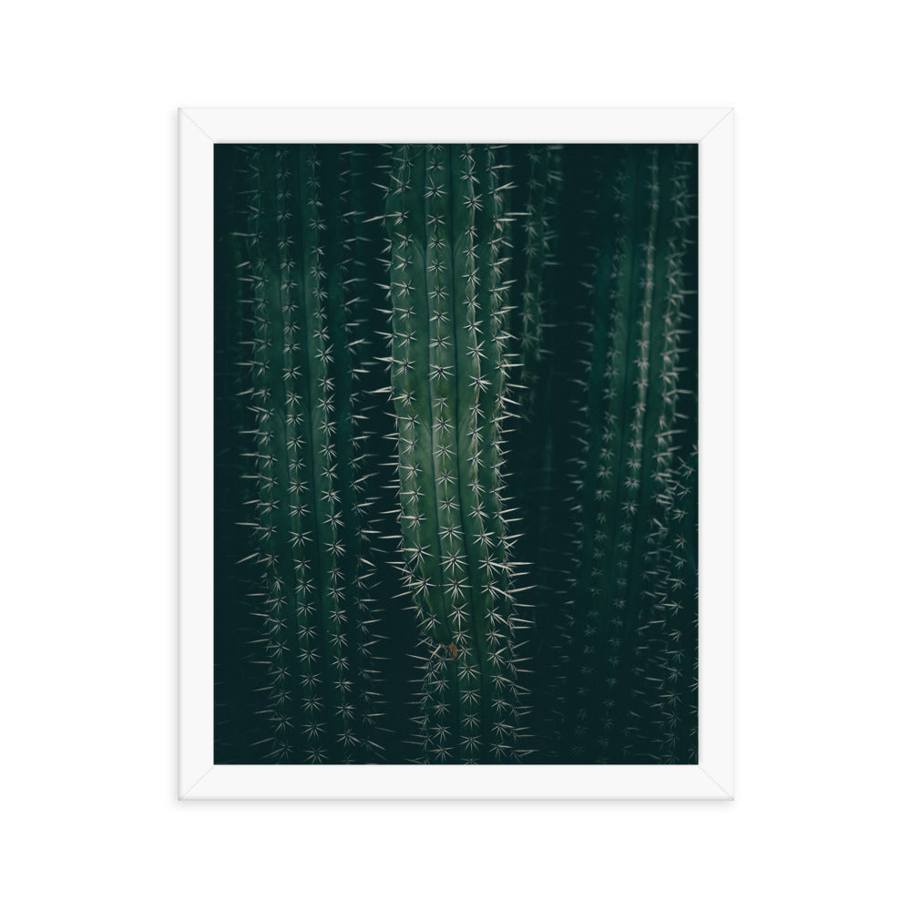 Cactus Spines - Wall Art