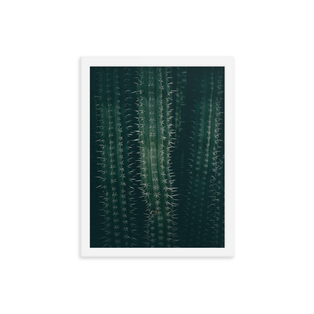 Cactus Spines - Wall Art