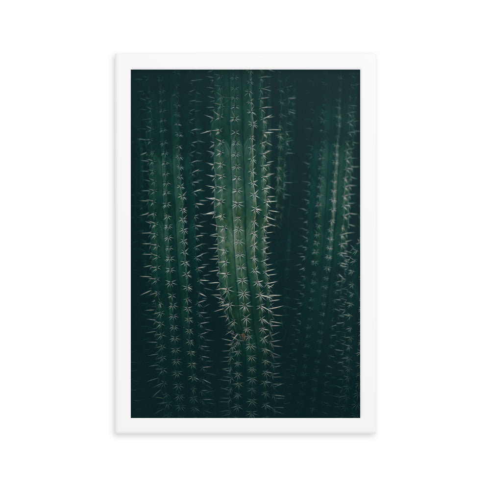 Cactus Spines - Wall Art