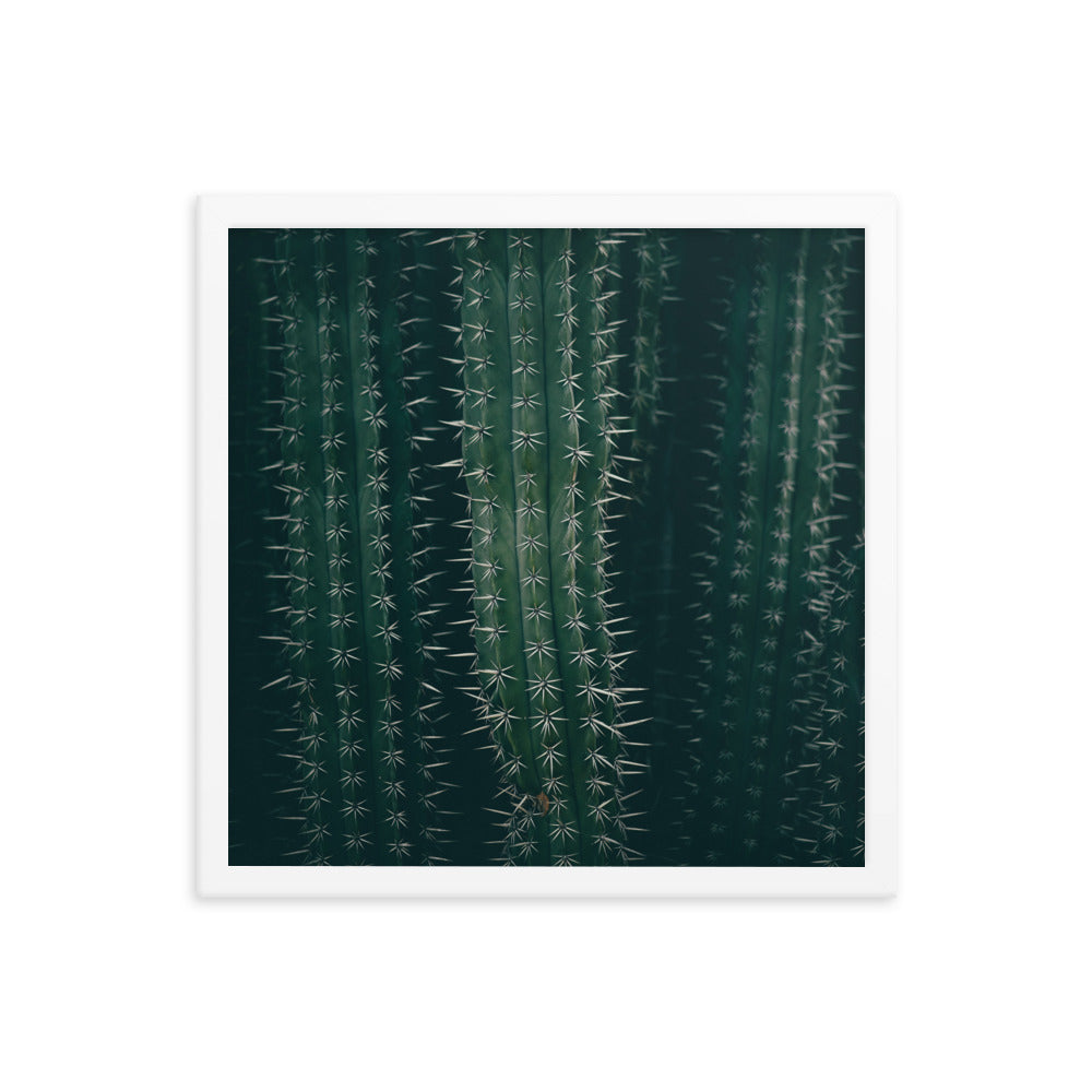 Cactus Spines - Wall Art