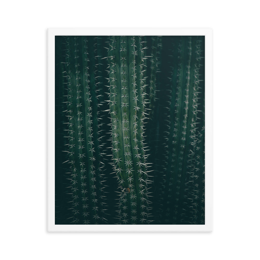 Cactus Spines - Wall Art