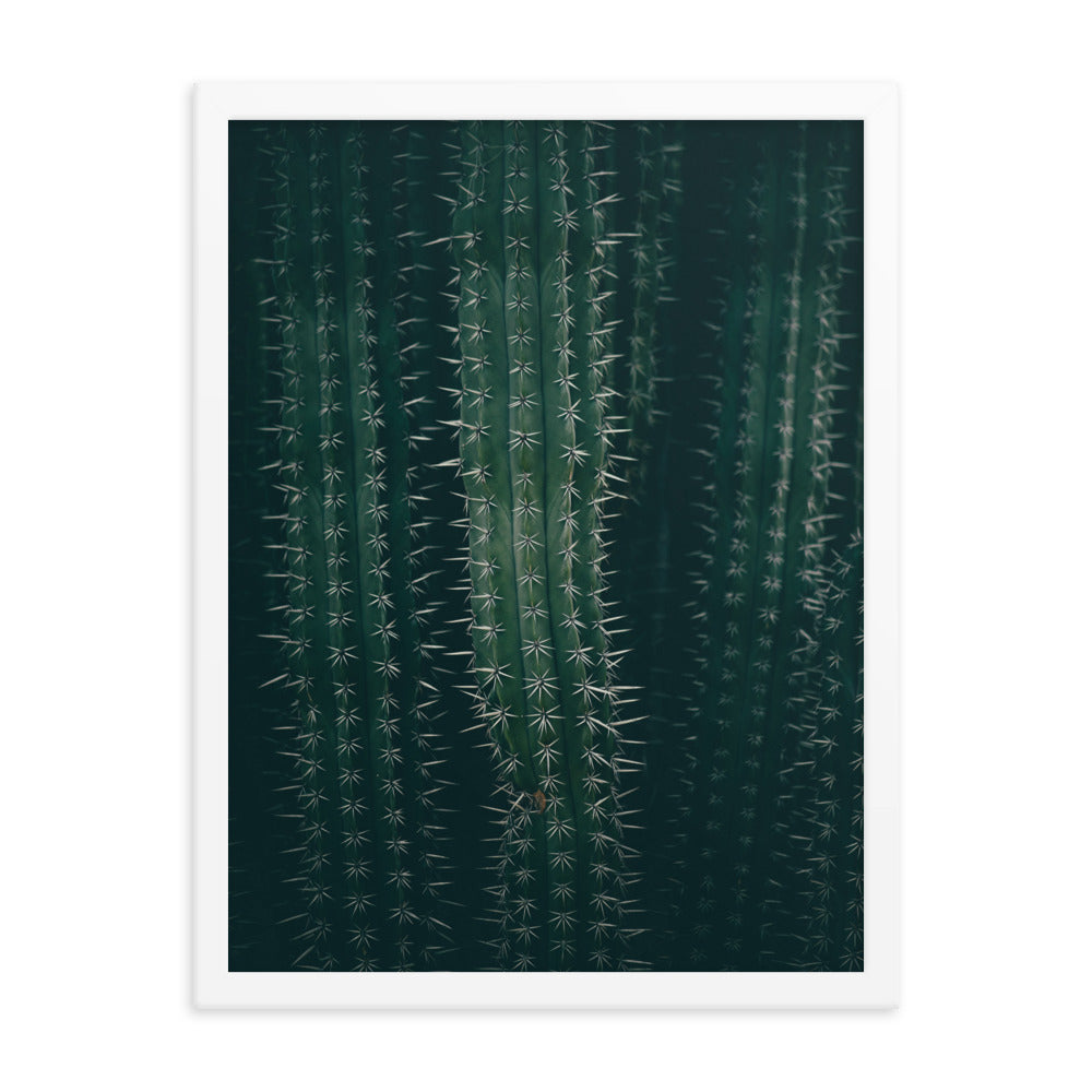 Cactus Spines - Wall Art