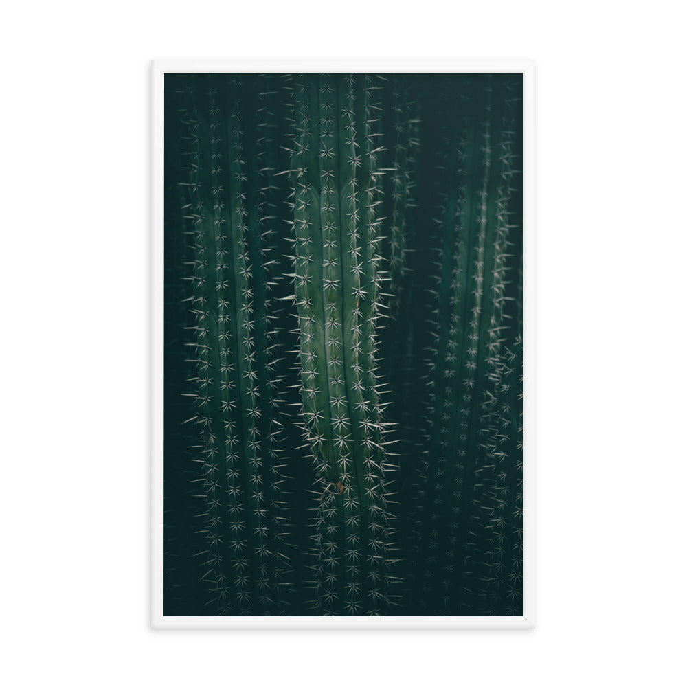 Cactus Spines - Wall Art