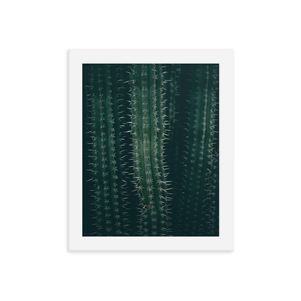 Cactus Spines - Wall Art